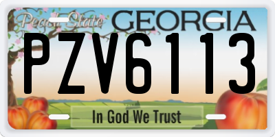 GA license plate PZV6113