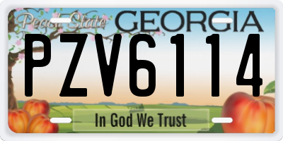 GA license plate PZV6114