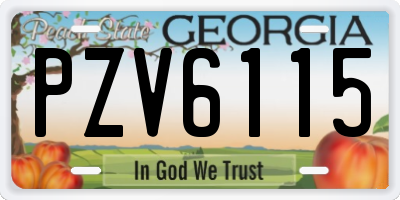GA license plate PZV6115