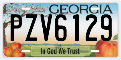 GA license plate PZV6129