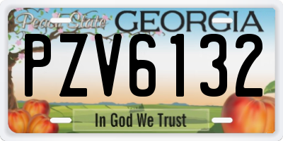GA license plate PZV6132
