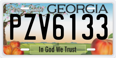 GA license plate PZV6133