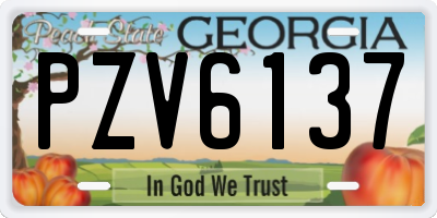 GA license plate PZV6137