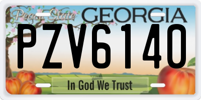 GA license plate PZV6140