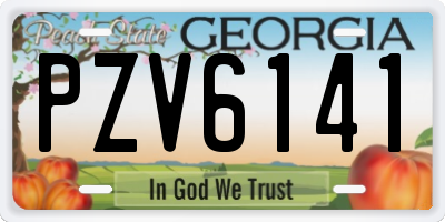 GA license plate PZV6141