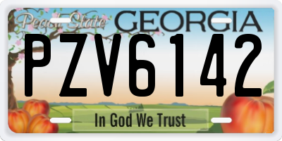 GA license plate PZV6142