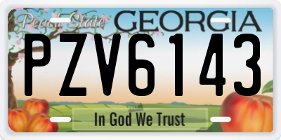 GA license plate PZV6143