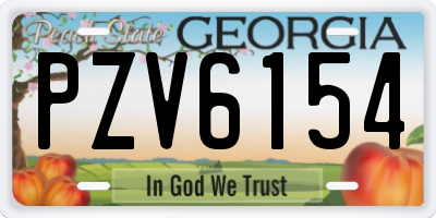 GA license plate PZV6154