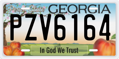 GA license plate PZV6164