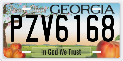 GA license plate PZV6168