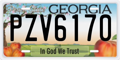 GA license plate PZV6170