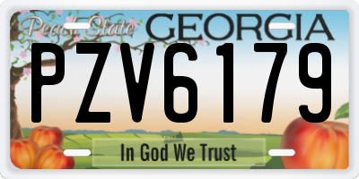 GA license plate PZV6179