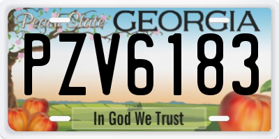 GA license plate PZV6183