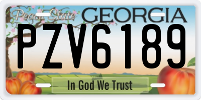 GA license plate PZV6189