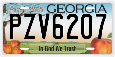 GA license plate PZV6207