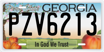 GA license plate PZV6213