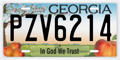 GA license plate PZV6214