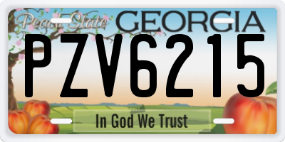 GA license plate PZV6215