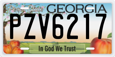 GA license plate PZV6217
