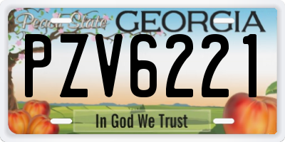GA license plate PZV6221