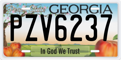 GA license plate PZV6237