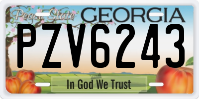 GA license plate PZV6243