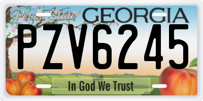 GA license plate PZV6245