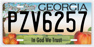 GA license plate PZV6257