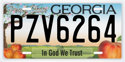 GA license plate PZV6264