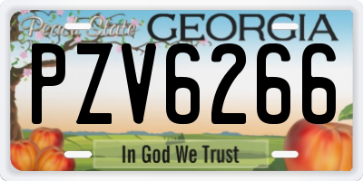 GA license plate PZV6266