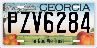 GA license plate PZV6284