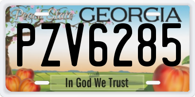 GA license plate PZV6285