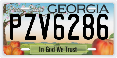 GA license plate PZV6286