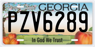 GA license plate PZV6289