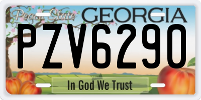 GA license plate PZV6290