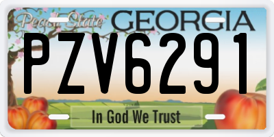 GA license plate PZV6291