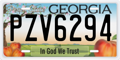 GA license plate PZV6294