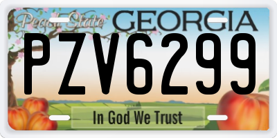 GA license plate PZV6299