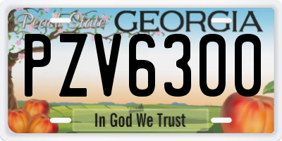 GA license plate PZV6300