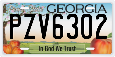 GA license plate PZV6302