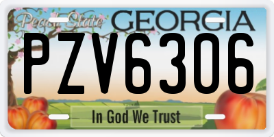 GA license plate PZV6306