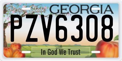 GA license plate PZV6308