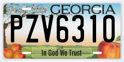 GA license plate PZV6310