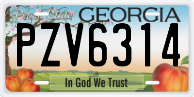 GA license plate PZV6314