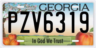 GA license plate PZV6319