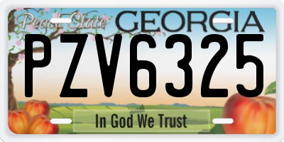 GA license plate PZV6325