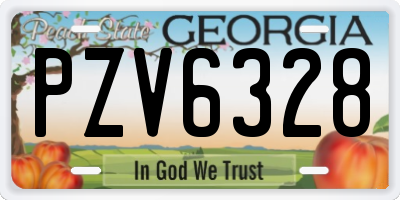 GA license plate PZV6328