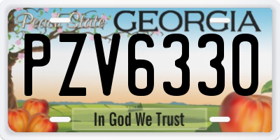 GA license plate PZV6330