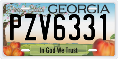 GA license plate PZV6331
