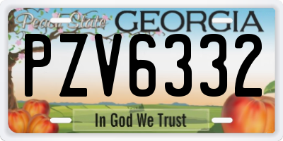 GA license plate PZV6332